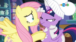 Size: 854x470 | Tagged: safe, screencap, fluttershy, twilight sparkle, alicorn, pegasus, pony, a health of information, g4, carousel (tv channel), chef's hat, duo, female, hat, mare, mid-blink screencap, twilight sparkle (alicorn)