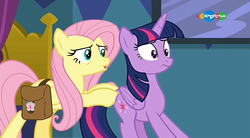 Size: 1047x576 | Tagged: safe, screencap, fluttershy, twilight sparkle, alicorn, pegasus, pony, a health of information, g4, butt touch, carousel (tv channel), duo, hoof on butt, pushing, rump push, twilight sparkle (alicorn)