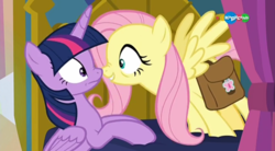 Size: 854x470 | Tagged: safe, screencap, fluttershy, twilight sparkle, alicorn, pony, a health of information, g4, boop, carousel (tv channel), duo, noseboop, twilight sparkle (alicorn)
