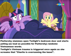 Size: 838x662 | Tagged: safe, edit, edited screencap, screencap, fluttershy, twilight sparkle, alicorn, pegasus, pony, a health of information, g4, bed, carousel (tv channel), crossing the line twice, duo, female, mare, ponestrip, pure unfiltered evil, saddle bag, twilight sparkle (alicorn), vietnam flashback, we are going to hell