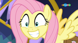 Size: 854x470 | Tagged: safe, screencap, fluttershy, pegasus, pony, a health of information, g4, carousel (tv channel), cute, female, grin, mare, shyabetes, smiling, solo, spread wings, wings