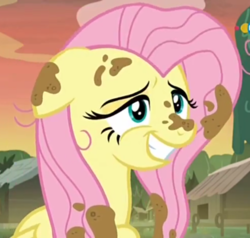 Size: 493x470 | Tagged: safe, screencap, fluttershy, pony, a health of information, g4, cropped, dirt, female, mare, mud, smug, solo