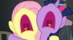Size: 854x470 | Tagged: safe, screencap, fluttershy, twilight sparkle, alicorn, pony, a health of information, g4, aaugh!, carousel (tv channel), close-up, duo, embrace, mawshot, nose in the air, open mouth, screaming, twilight sparkle (alicorn), uvula, volumetric mouth