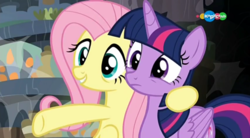 Size: 854x470 | Tagged: safe, screencap, fluttershy, twilight sparkle, alicorn, pony, a health of information, g4, carousel (tv channel), duo, meadowbrook's home, twilight sparkle (alicorn)