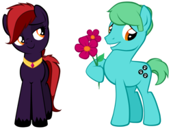 Size: 1024x770 | Tagged: safe, artist:petraea, oc, oc only, oc:black fire, oc:scaredy, earth pony, pony, female, male, mare, simple background, stallion, transparent background, vector