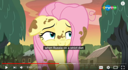 Size: 1266x695 | Tagged: safe, edit, edited screencap, screencap, fluttershy, pegasus, pony, a health of information, g4, caption, carousel (tv channel), dirty, female, floppy ears, joke, mare, meme, solo, youtube caption