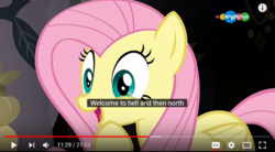 Size: 1273x704 | Tagged: safe, screencap, fluttershy, a health of information, g4, carousel (tv channel), female, meme, solo, youtube caption
