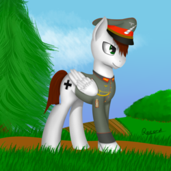 Size: 1024x1024 | Tagged: safe, artist:recordmelodie, oc, oc only, oc:blitzsturm, pony, unicorn, clothes, commission, field marshal, general, male, military, military uniform, solo, stallion, uniform, wehrmacht