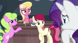 Size: 1024x572 | Tagged: safe, screencap, daisy, flower wishes, lily, lily valley, rarity, roseluck, g4, it isn't the mane thing about you, flower trio