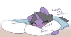 Size: 806x418 | Tagged: safe, artist:rivibaes, oc, oc only, oc:rivibaes, pony, unicorn, blushing, pillow, sniffing