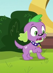 Size: 300x412 | Tagged: safe, screencap, spike, spike the regular dog, dog, equestria girls, g4, my little pony equestria girls: friendship games, cropped, male, puppy, solo