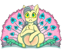 Size: 978x816 | Tagged: safe, artist:anonymous-potayto, fluttershy, hybrid, pony, g4, chest fluff, ear fluff, fangs, peacock feathers, peacock tail, pregnant, sitting, solo, story included, transformation, yellow sclera