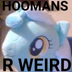 Size: 1080x1080 | Tagged: safe, lyra heartstrings, pony, g4, crying inside, face of mercy, humie, image macro, insanity, irl, lyra's humans, meme, misspelling, photo, plushie