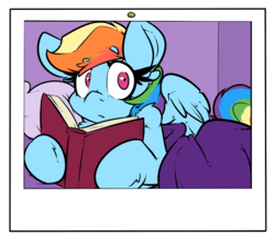 Size: 987x848 | Tagged: safe, artist:bbsartboutique, rainbow dash, pegasus, pony, g4, book, explicit source, female, looking at you, love collector, photo, reading, solo, surprised