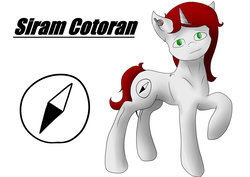 Size: 1024x724 | Tagged: safe, artist:causetears, oc, oc only, oc:siram cotoran, pony, unicorn, reference sheet