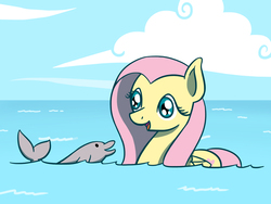 Size: 1800x1350 | Tagged: safe, artist:flutterluv, fluttershy, dolphin, pony, g4, cute, female, hilarious in hindsight, mare, shyabetes, smiling, swimming, water