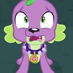 Size: 725x720 | Tagged: safe, screencap, spike, spike the regular dog, dog, equestria girls, g4, my little pony equestria girls: friendship games, male, puppy, scared, solo