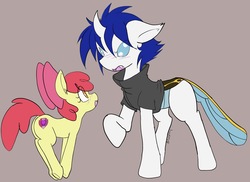 Size: 2917x2129 | Tagged: safe, artist:steelsoul, apple bloom, oc, oc:shin, pony, g4, changedling oc, clothes, female, filly, high res, jacket, male