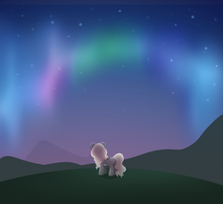 Size: 2400x2200 | Tagged: safe, artist:miioko, oc, oc only, earth pony, pony, aurora borealis, female, high res, hill, mare, night, rear view, solo