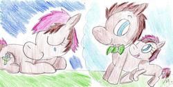 Size: 913x459 | Tagged: safe, artist:ptitemouette, doctor whooves, time turner, oc, oc:eternity bloom, pony, g4, female, male, next generation, offspring, parent:doctor whooves, parent:roseluck, parents:doctorrose, sad, ship:doctorrose, shipping, straight