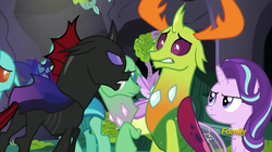 Size: 1277x717 | Tagged: safe, screencap, cornicle, frenulum (g4), pharynx, soupling, starlight glimmer, thorax, changedling, changeling, g4, to change a changeling, changeling hive, discovery family logo, king thorax