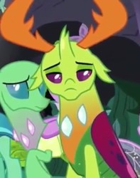 Size: 567x720 | Tagged: safe, screencap, cornicle, frenulum (g4), thorax, changedling, changeling, g4, to change a changeling, cropped, horn, king thorax, sad