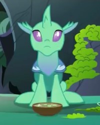 Size: 575x720 | Tagged: safe, screencap, soupling, changedling, changeling, g4, to change a changeling, :c, changeling food, cropped, cute, cuteling, food, frown, horn, looking up, male, solo, soup, that changeling sure does love soup