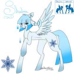 Size: 1000x1000 | Tagged: safe, artist:ohflaming-rainbow, oc, oc only, oc:shawna, pegasus, pony, female, mare, reference sheet, solo