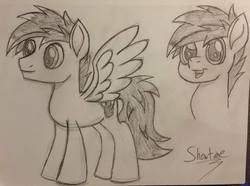 Size: 2048x1526 | Tagged: safe, artist:showtimeandcoal, oc, oc only, oc:kami, pegasus, pony, g4, black and white, bust, colt, grayscale, male, monochrome, movie accurate, pencil, pencil drawing, portrait, request, sketch, solo, stallion, style, traditional art