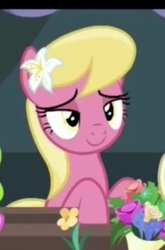 Size: 312x473 | Tagged: safe, screencap, lily, lily valley, g4, it isn't the mane thing about you, smiling