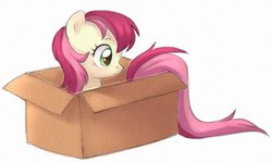 Size: 796x474 | Tagged: safe, artist:viki-niki, roseluck, earth pony, pony, g4, box, commissioner:doom9454, cute, female, mare, pony in a box, pony pet, rosabetes, rosepet, simple background, solo, white background