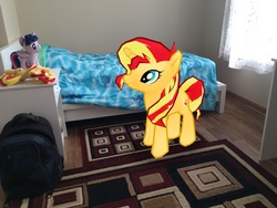 Size: 4032x3024 | Tagged: safe, gameloft, sunset shimmer, twilight sparkle, alicorn, pony, unicorn, g4, 3d, 4de, augmented reality, irl, photo, plushie, ponies in real life, room, self ponidox, twilight sparkle (alicorn)