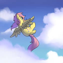 Size: 2000x2000 | Tagged: safe, artist:neuro, fluttershy, g4, cloud, female, flying, high res, solo