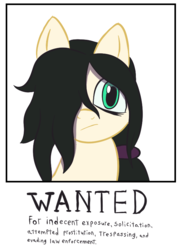 Size: 576x792 | Tagged: safe, artist:scraggleman, oc, oc only, oc:floor bored, earth pony, pony, 4chan, breaking the law, female, indifferent, mare, ponytail, solo, wanted poster