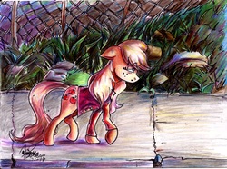 Size: 2088x1552 | Tagged: safe, artist:mannybcadavera, applejack, earth pony, pony, g4, clothes, exhausted, female, freckles, mare, sidewalk, signature, solo, walking