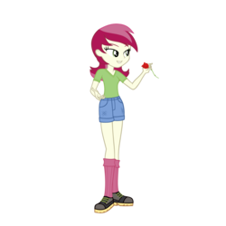 Size: 3500x3500 | Tagged: safe, artist:darthlena, roseluck, equestria girls, g4, clothes, female, flower, high res, legs, rose, shoes, simple background, socks, solo, transparent background