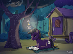 Size: 1024x759 | Tagged: safe, artist:lostinthetrees, oc, oc only, earth pony, pony, book, caravan, lamp, male, prone, reading, solo, stallion, tree, wagon