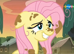 Size: 1376x1018 | Tagged: safe, screencap, fluttershy, pegasus, pony, a health of information, g4, carousel (tv channel), cute, dirty, female, floppy ears, grin, mare, shyabetes, smiling