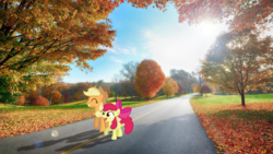 Size: 2048x1152 | Tagged: safe, artist:potato22, apple bloom, applejack, earth pony, pony, g4, duo, irl, lens flare, photo, ponies in real life, road, standing, summer