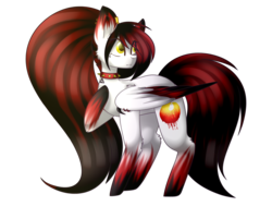 Size: 1905x1440 | Tagged: safe, artist:despotshy, oc, oc only, oc:fell flame, pegasus, pony, colored wings, female, mare, multicolored wings, simple background, solo, transparent background