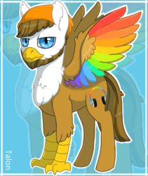 Size: 821x973 | Tagged: safe, artist:anonymous-potayto, oc, oc only, oc:talon, classical hippogriff, hippogriff, beard, colored wings, facial hair, interspecies offspring, magical lesbian spawn, male, multicolored wings, offspring, parent:gilda, parent:rainbow dash, parents:gildash, solo