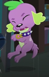 Size: 466x720 | Tagged: safe, screencap, spike, spike the regular dog, dog, equestria girls, g4, my little pony equestria girls: friendship games, cropped, eyes closed, paws, puppy