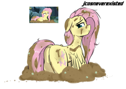 Size: 3508x2480 | Tagged: safe, artist:jcosneverexisted, fluttershy, pegasus, pony, a health of information, g4, butt, female, flutterbutt, high res, looking back, mare, mud, plot, solo
