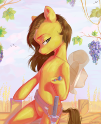 Size: 2160x2637 | Tagged: safe, artist:utauyan, oc, oc only, oc:radiant star, earth pony, pony, branches, cowboy, dagger, fence, food, grapes, hat, high res, holster, leaves, male, solo, stallion, weapon, wheat field, ych result
