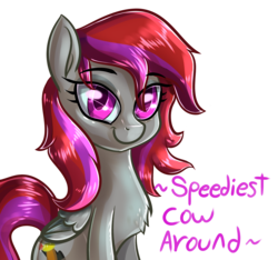 Size: 3200x3000 | Tagged: safe, artist:katakiuchi4u, oc, oc only, pegasus, pony, female, gift art, high res, looking at you, mare, simple background, smiling, solo, transparent background