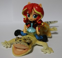 Size: 1500x1397 | Tagged: safe, ray, sunset shimmer, equestria girls, g4, doll, equestria girls minis, eqventures of the minis, female, irl, photo, riding, toy