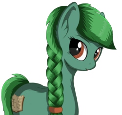 Size: 1567x1486 | Tagged: safe, artist:negasun, oc, oc only, oc:lonely day, earth pony, pony, ponies after people, braid, female, green fur, green hair, green mane, solo