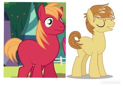Size: 1024x720 | Tagged: safe, big macintosh, feather bangs, g4, hard to say anything, cute, gay, happy, male, missing accessory, missing cutie mark, ship:feathermac, shipping, stallion