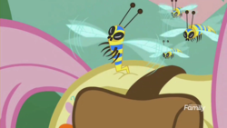 Size: 1920x1080 | Tagged: safe, screencap, fluttershy, flash bee, pony, a health of information, g4, bee sting, female, fetish fuel, literal butthurt, mare, ouch, pain, poor fluttershy, solo, swamp fever
