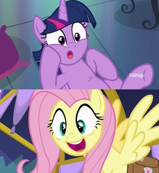 Size: 1704x1858 | Tagged: safe, screencap, fluttershy, twilight sparkle, alicorn, pony, a health of information, g4, out of context, twilight sparkle (alicorn)